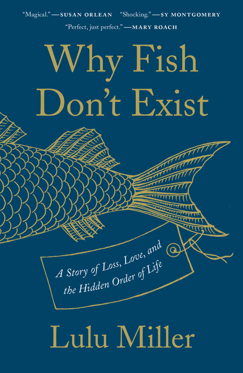 Why Fish Don't Exist: A Story of Loss, Love, and the Hidden Order of Life