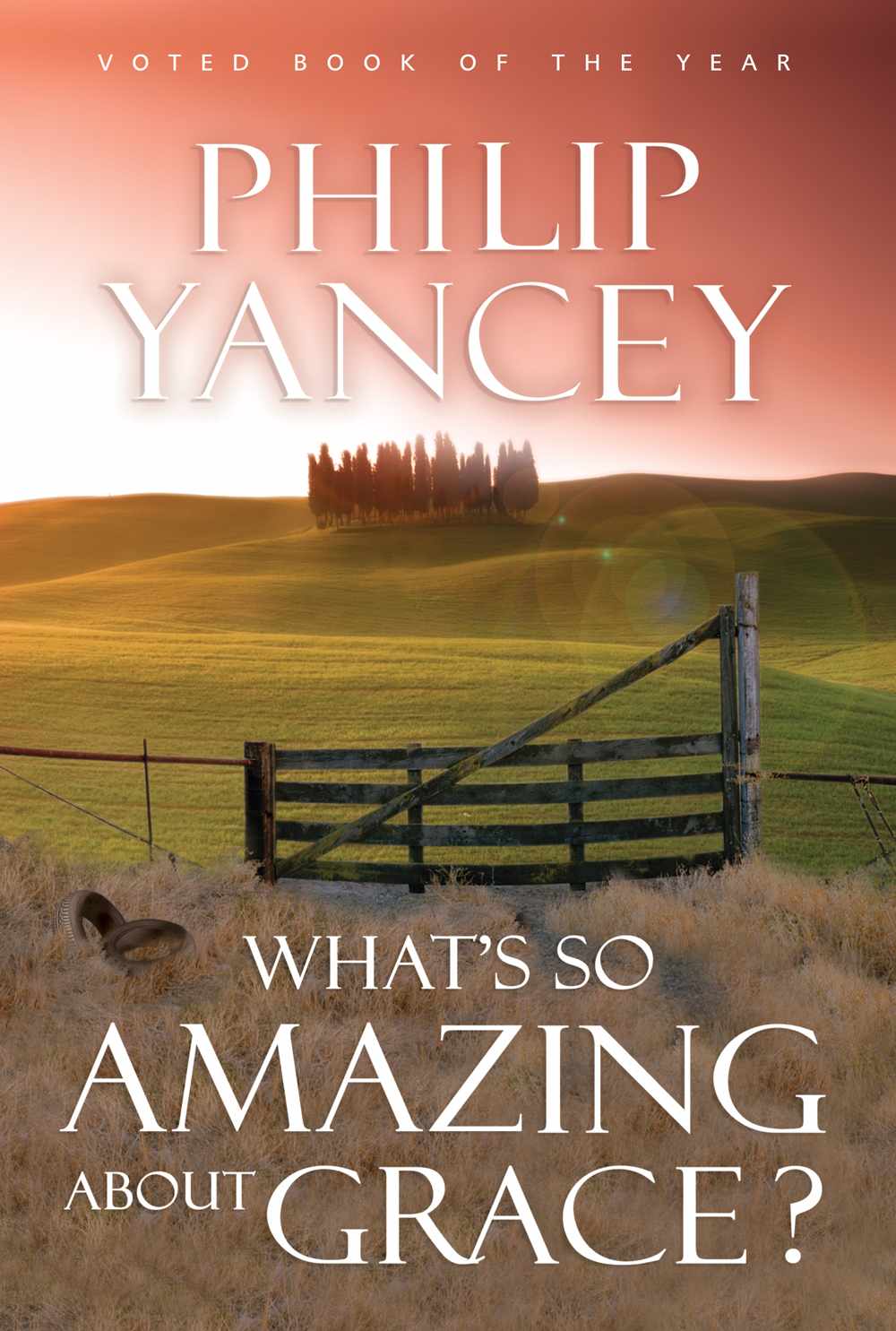 What's So Amazing About Grace?